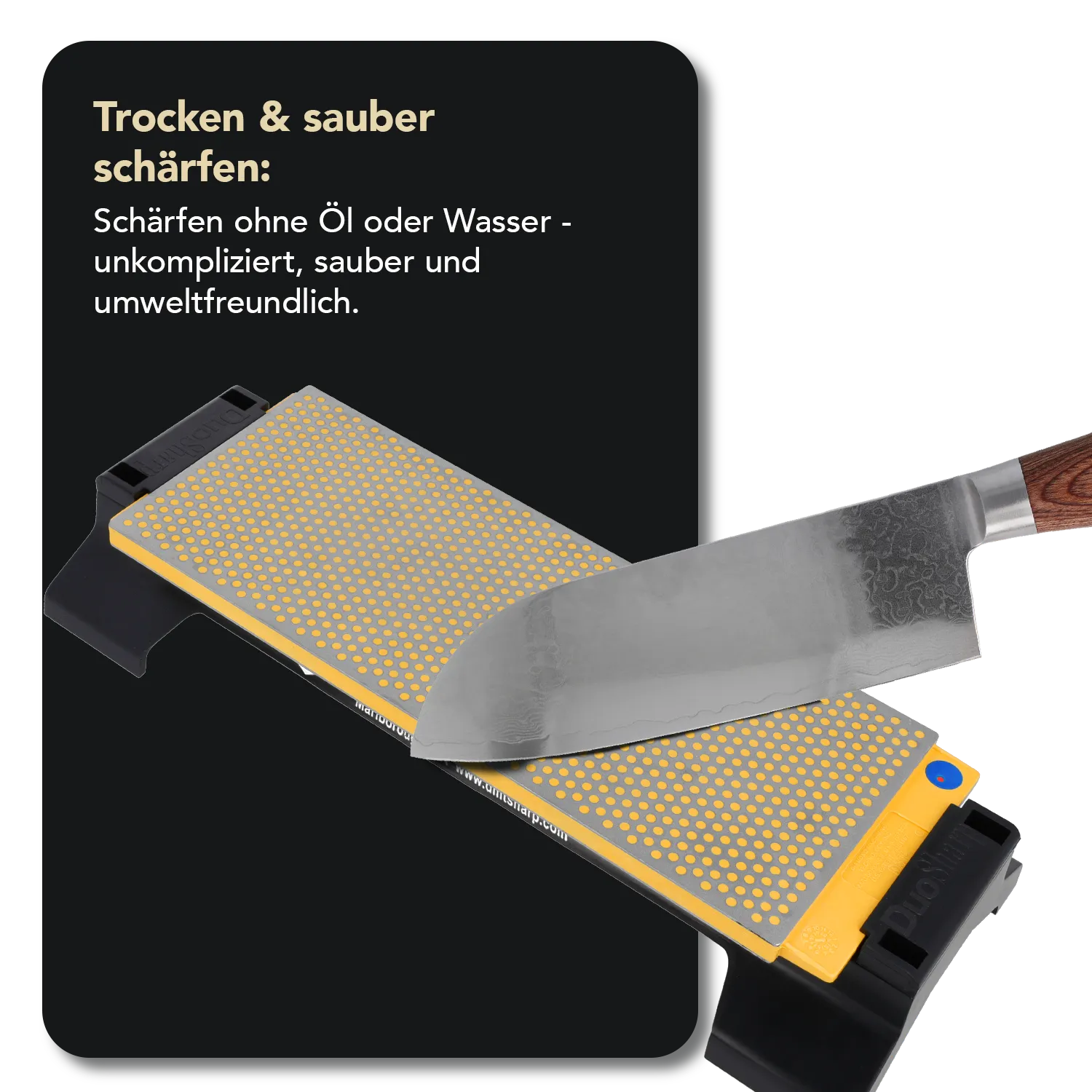 DuoSharp® Diamant Schleifstein 10" mit Basis Grob / Fein, W250FC-WB