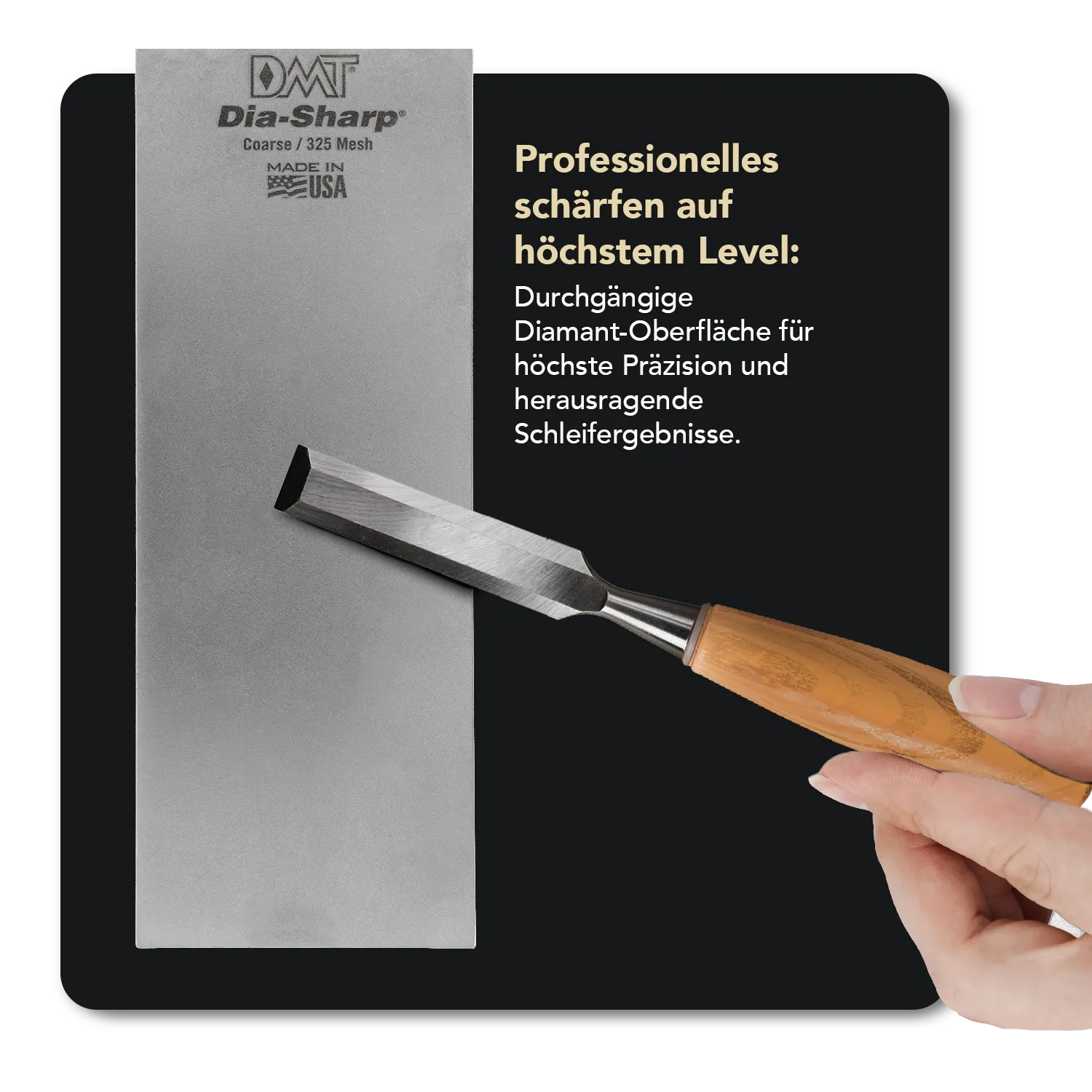 8" Dia-Sharp DMT Diamant Schleifstein Set