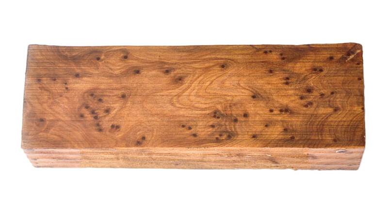 Thuja-Burl