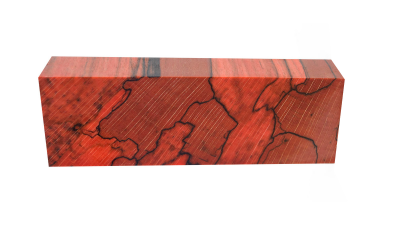 Buche gestockt XC Rot (stabilisiert)