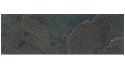 Spalted Beech XC Blue (stabilized)