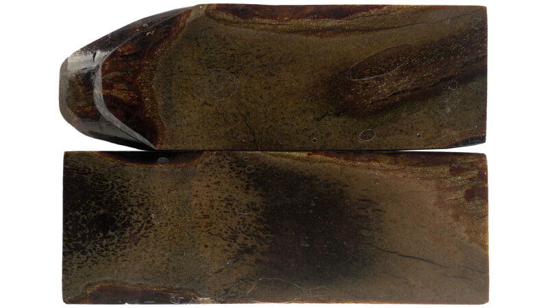 Rothirsch Griffschalen 120×40×6 mm (stabilisiert)