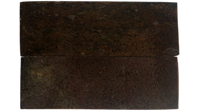 Urmammut Griffschalen 120×40×6 mm (stabilisiert)